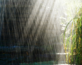 Почему во время дождя на лужах иногда появляются пузыри?